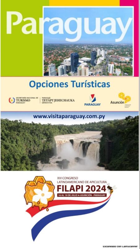 FILAPI