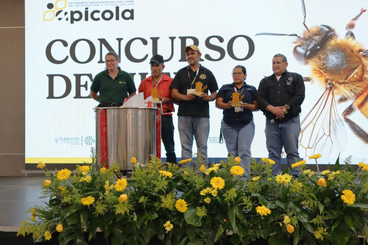FILAPI